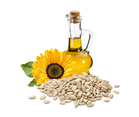 High Oleic Cold Pressed Sunflower Kernels Oil