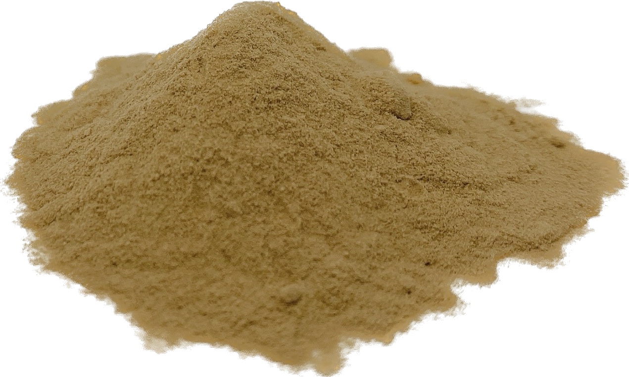 Mushroom Extract Powder