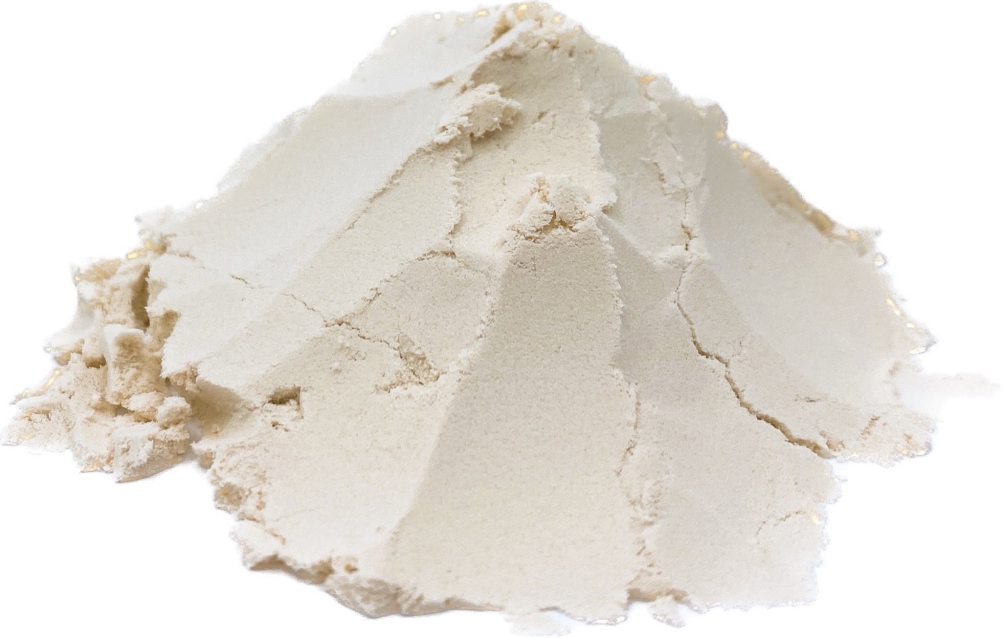 에이지티 파바빈프로테인